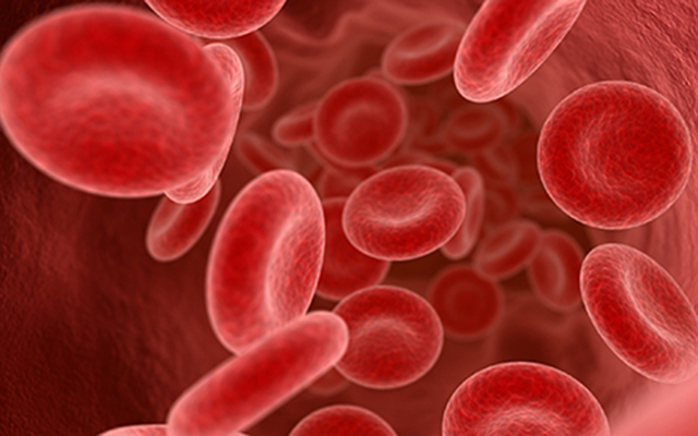 cardiovascular research - image of red blood cells