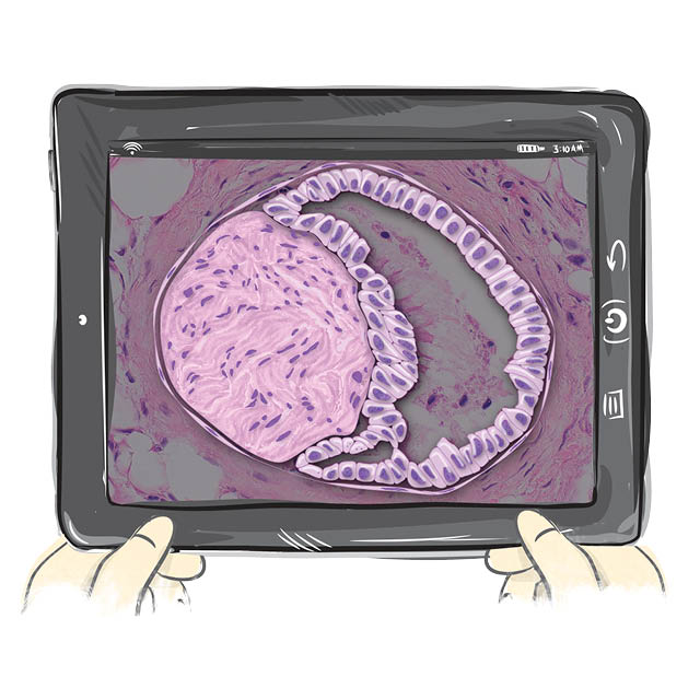 illustration of iPad displaying image of a cell