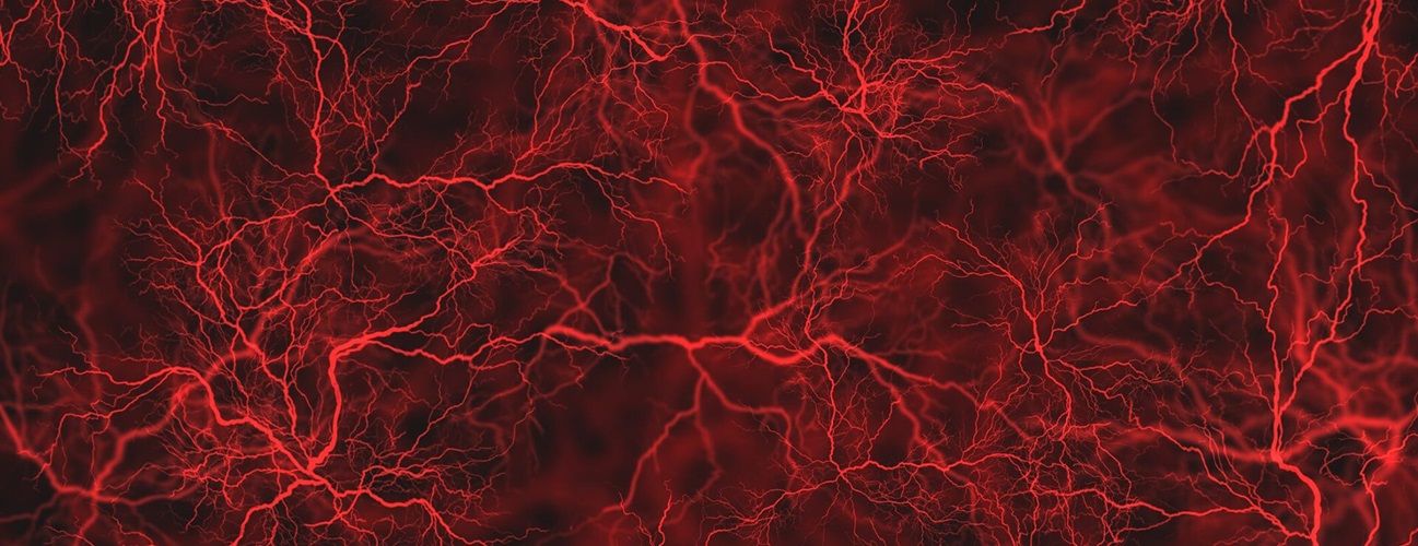 Photo of veins.