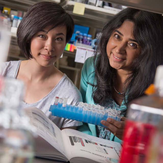 Photo of physiology professor Rajini Rao and doctoral student Donna Dang in Rao's lab.