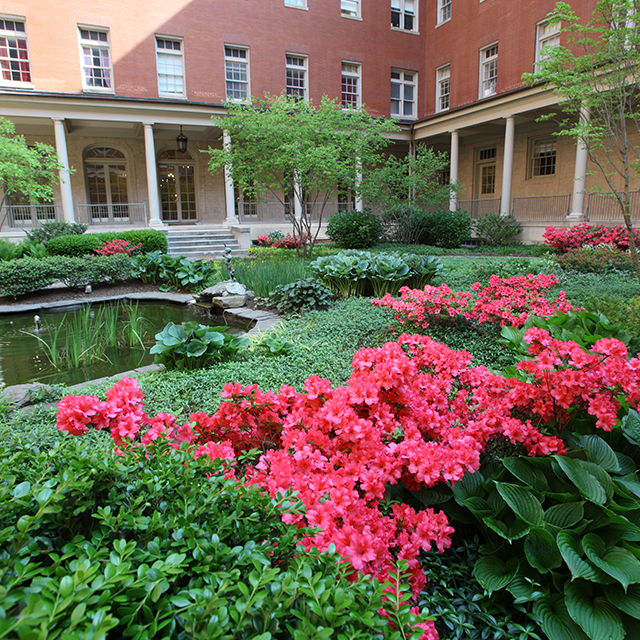 A photo of the the garden in the courtyard of the historic Phipps Building.