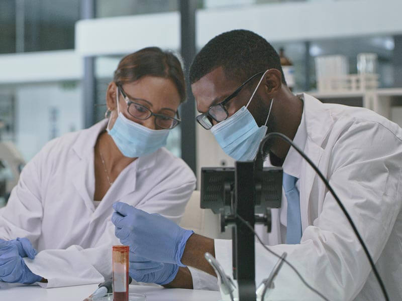 Two researchers in a lab
