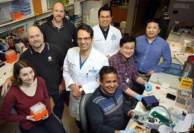 Dr. Hackam and his research team