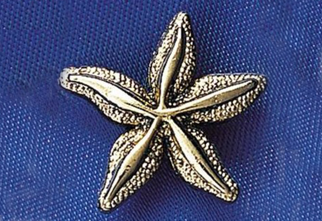 A starfish on a blue background.