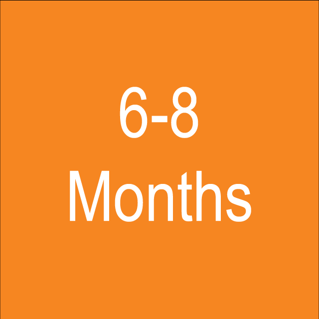 6-8 Months