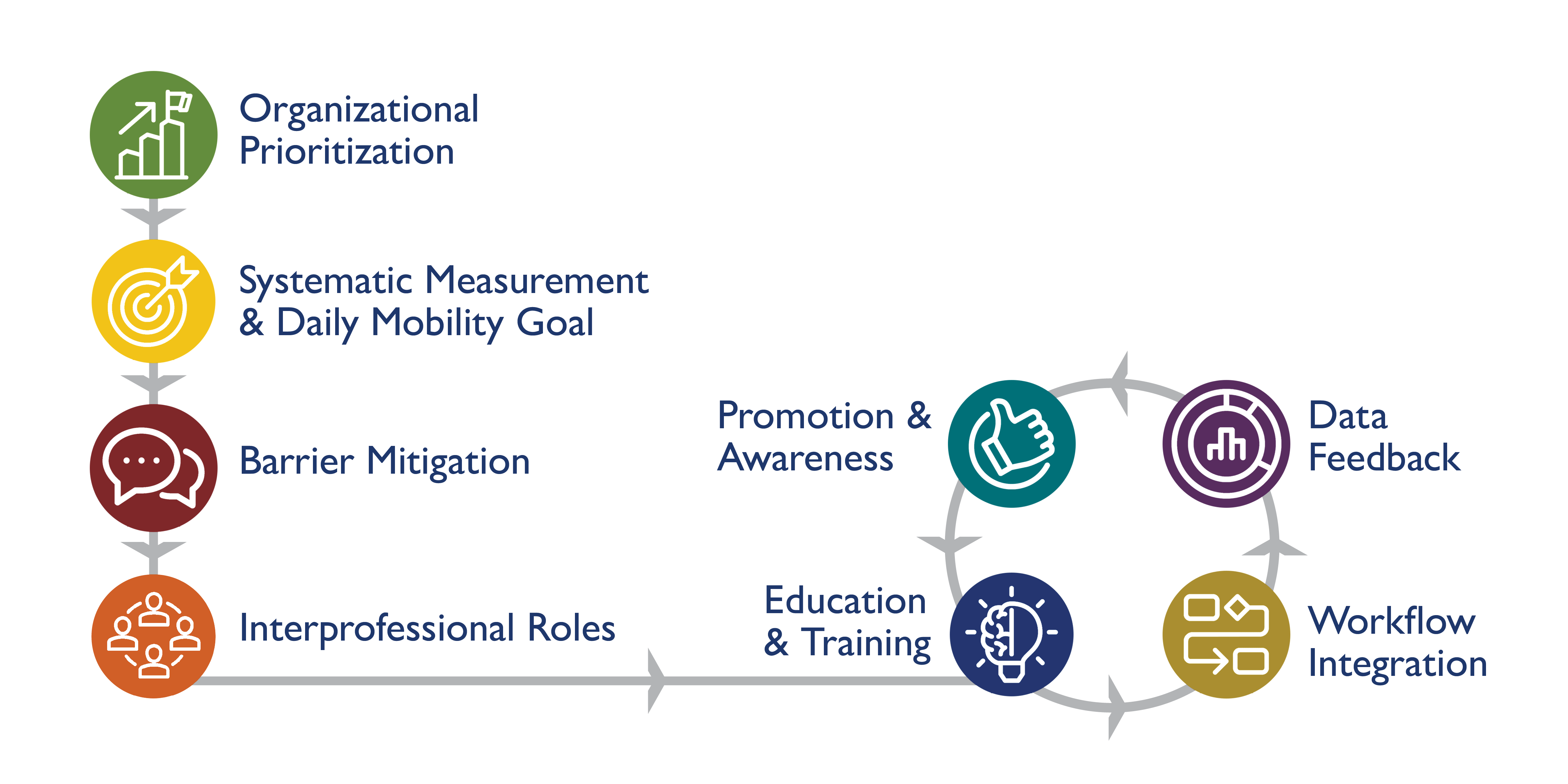 Graphic of the full 8 steps of the JHAMP framework.