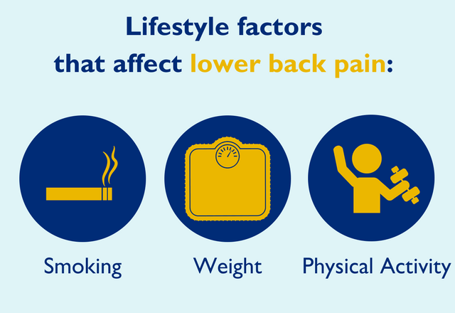 Graphic of different back pain factors, showing smoking, weight and physical activity.