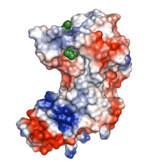 Structure of TB enzyme