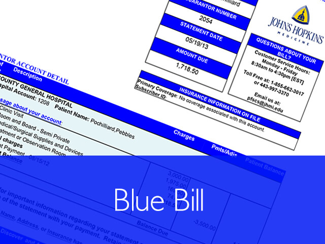 What is online bill payment?