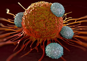 T-cells Attacking a Cancer Cell