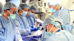 Teams of surgeons from Johns Hopkins, Walter Reed, UCLA, the Curtis National Hand Center in Baltimore and the University of Pittsburgh rehearsed multiple times, using cadaver arms, for Johns Hopkins’ first double arm transplant. The pictured dual team for