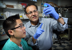 Alfredo Quinones-Hinojosa (right) and his lab have found that stem cells from a patient’s own fat may have the potential to deliver new treatments directly into the brain after the surgical removal of glioblastoma tumors.