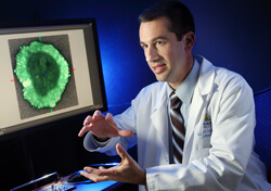 Nicholas Zachos and his team have developed three-dimensional tissue structures that mimic the behaviors of the intestine.