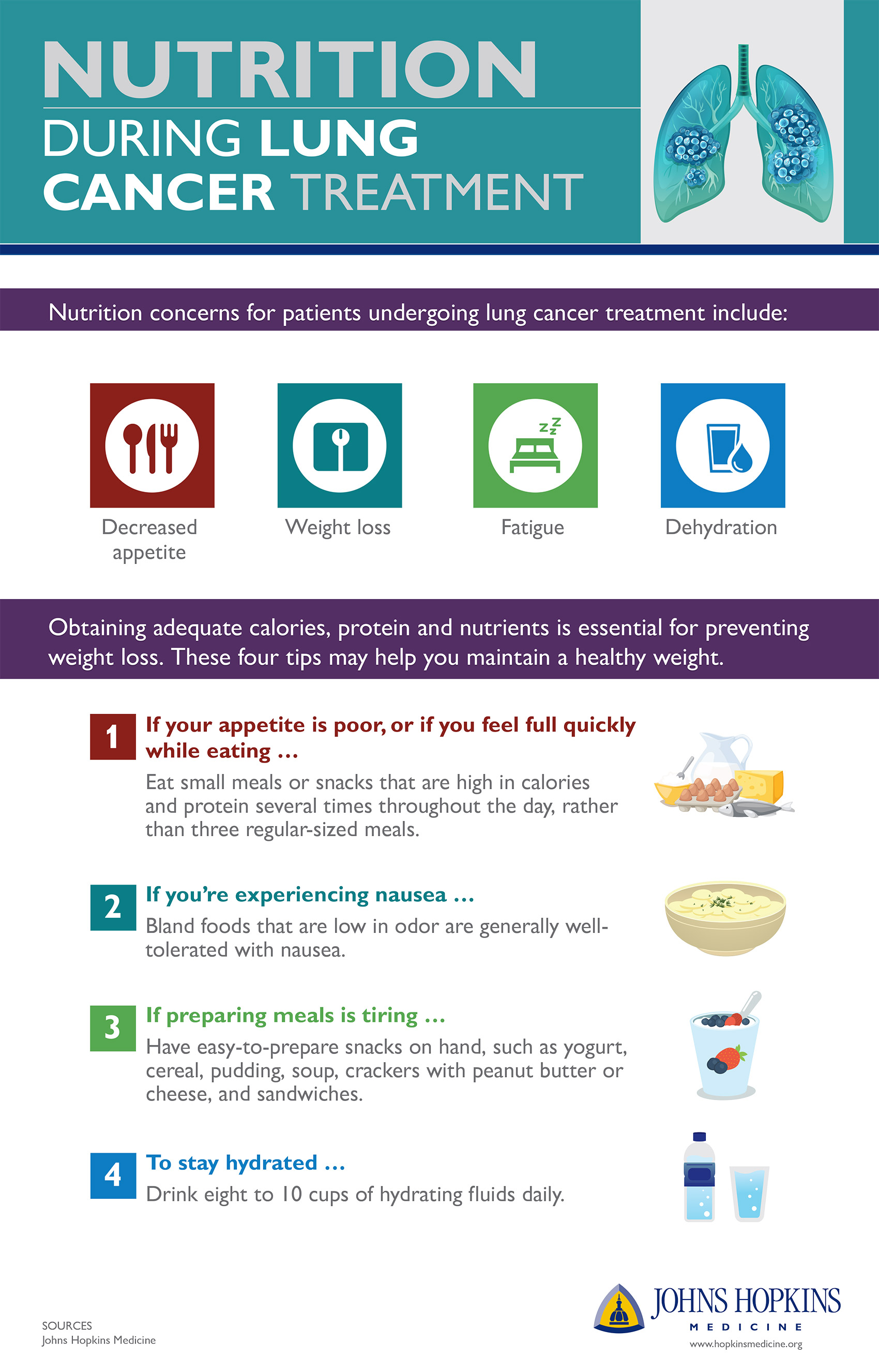 Nutrition During Lung Cancer Treatment Infographic