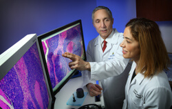 Carole Fakhry and Joseph Califano are studying the connection between tobacco use and HPV16-related oropharyngeal cancers. Tumor detail shown at left.