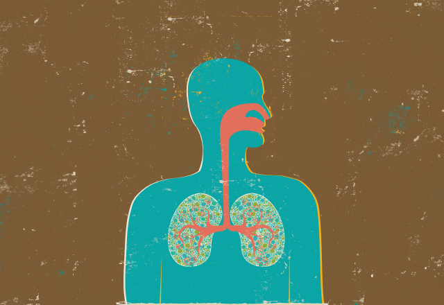 illustration of upper body with lungs visible