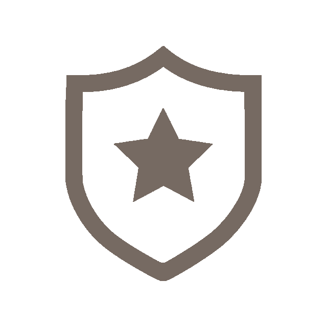 icon of a shield with a star
