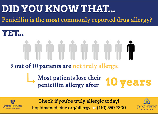 Did You Know? About Penicillin