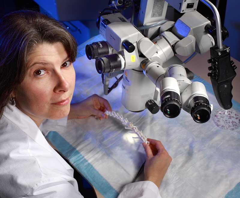 Betty Tyler working on a neurosurgical device beneath lab equipment