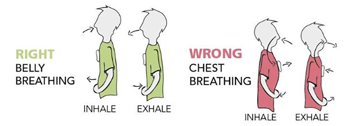 belly breathing graphic
