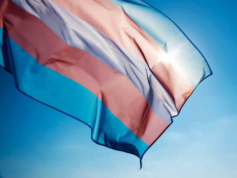 The transgender pride flag blowing in the wind.