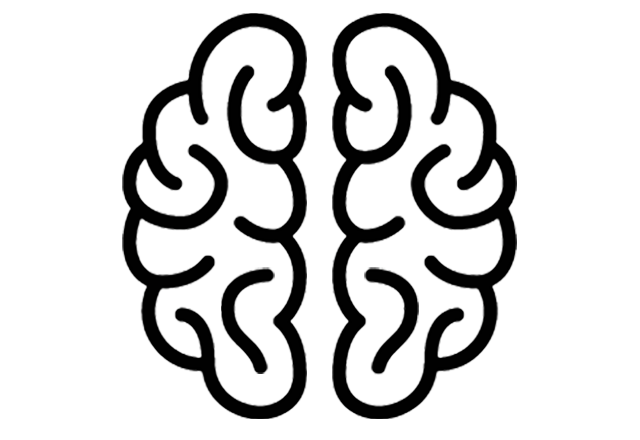 brain icon