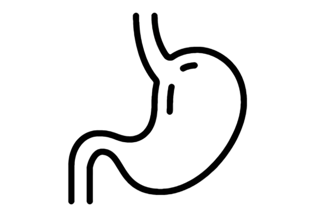 stomach icon