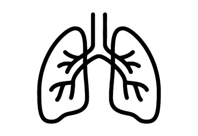 lungs icon