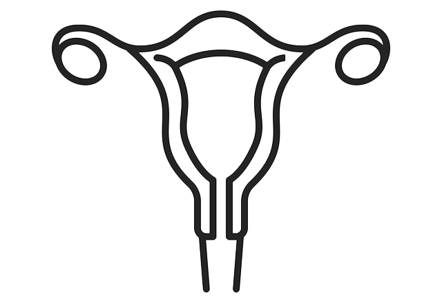 uterus icon