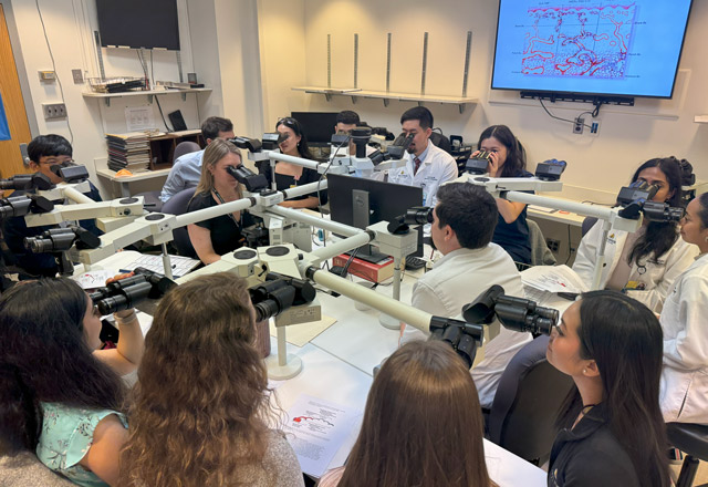 Dermatology residents researching in lab
