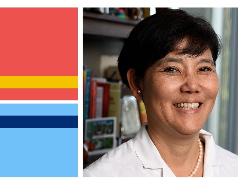 Yuka Manabe, M.D.