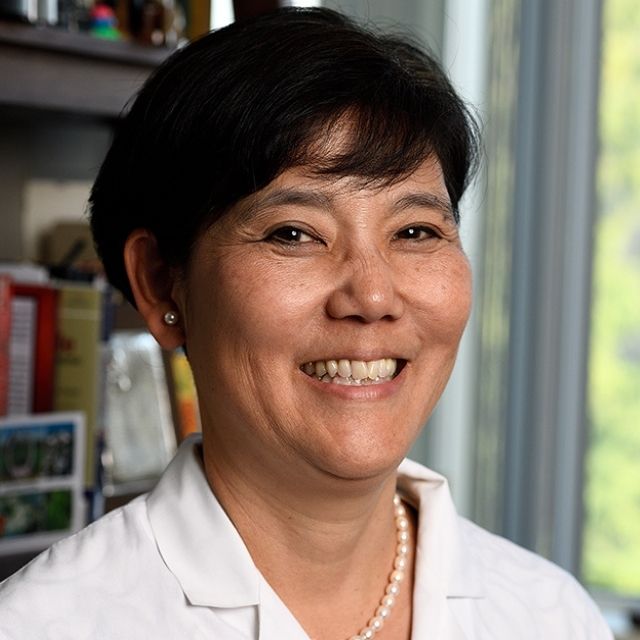 Yuka Manabe, M.D.
