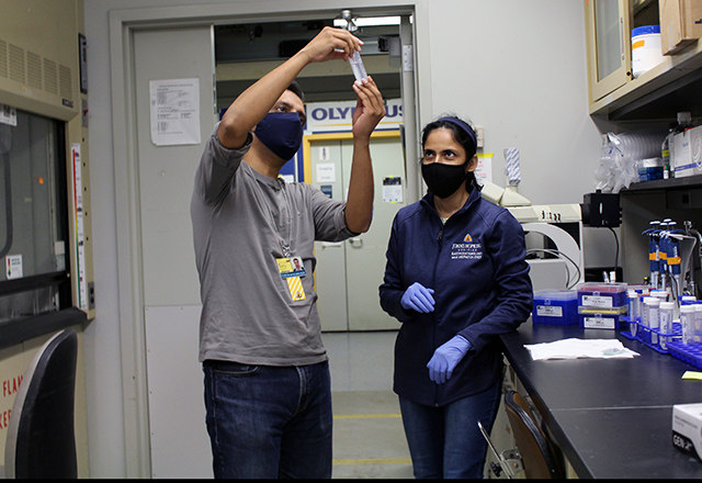two researchers working