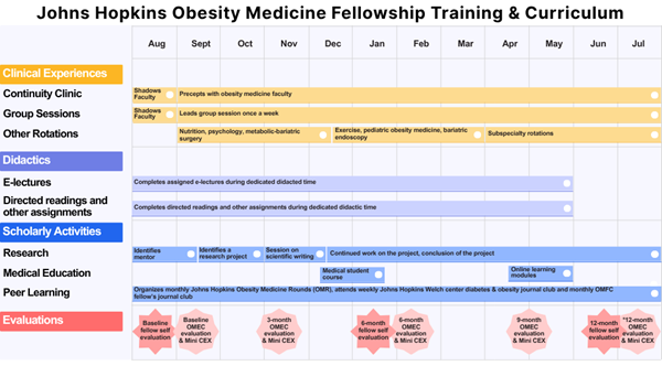 Figure 1 Legend. Timeline of Obesity Medicine Fellowship Activities. This figure presents the structured, year-long timeline of core activities within the Obesity Medicine Fellowship program, organized across four domains: Clinical Experiences, Didactics, Scholarly Activities, and Evaluations. Clinical Experiences include ongoing continuity clinic and group session facilitation, as well as rotations in nutrition, psychology, pediatric obesity medicine, endobariatrics, metabolic-bariatric surgery, and other subspecialties. Didactic components consist of e-lectures and directed readings completed during protected time. Scholarly Activities encompass research project development, engagement in medical education (e.g., teaching a medical student course), and peer learning through journal clubs and obesity medicine rounds. Evaluations include fellow self-assessments and faculty assessments at baseline, 3, 6, 9, and 12* months using OMEC competencies, along with Mini-CEX exercises to assess clinical skills. Activities are sequenced to support progressive development of clinical and academic competencies over the fellowship year. Abbreviations: OMFC – Obesity Medicine Fellowship Council; OMEC – Obesity Medicine Education Collaborative; Mini-CEX–Mini-clinical evaluation exercise  *Conducted if needed.