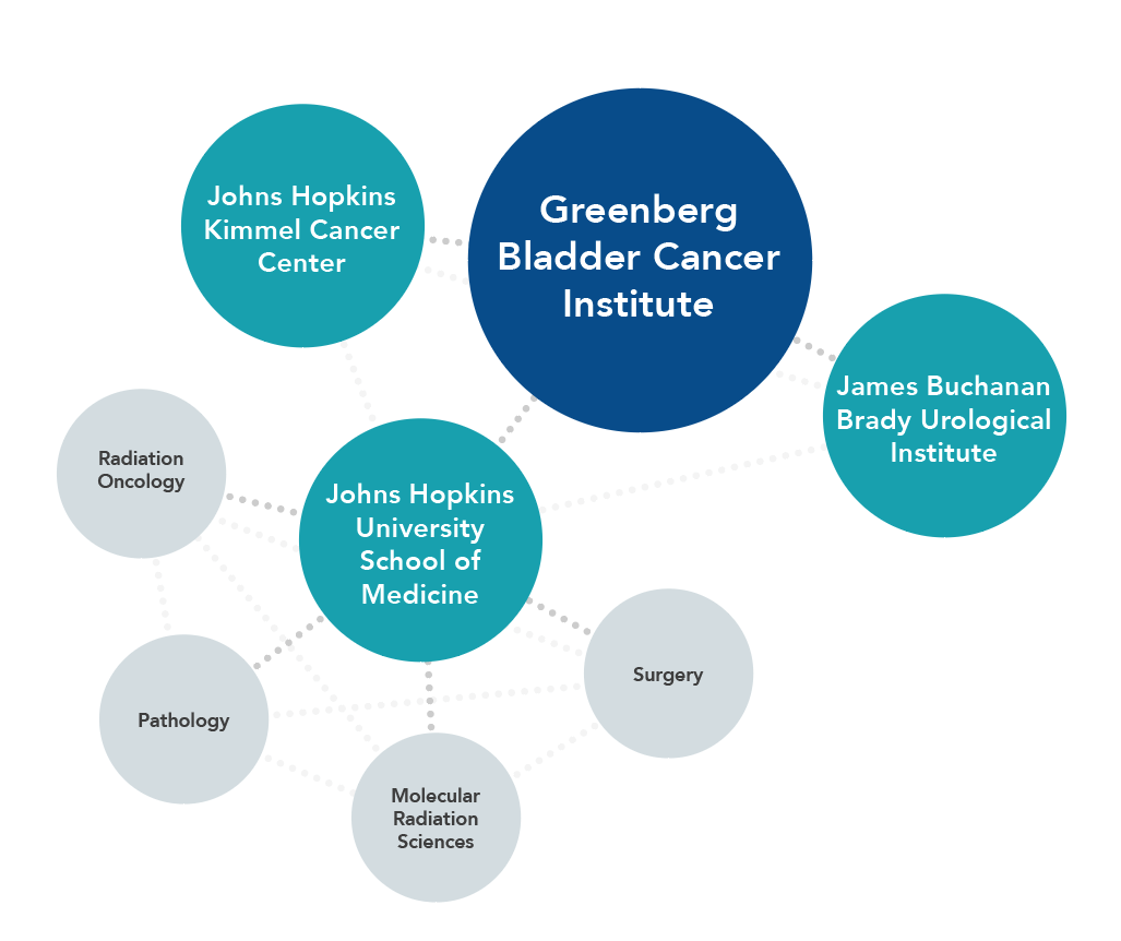 Diagram of the other centers working as part of the Greenberg Institute.