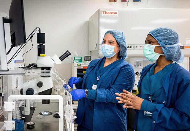 clinicians work in fertility lab