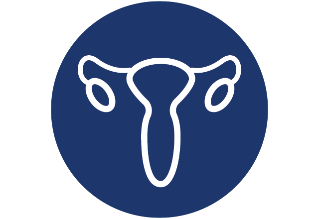 Female anatomy icon