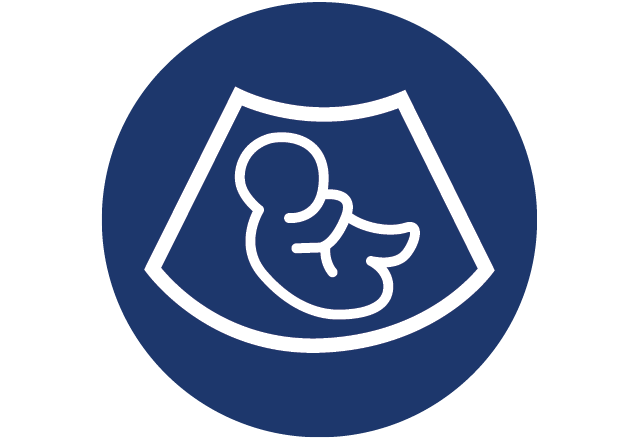 baby in utero icon