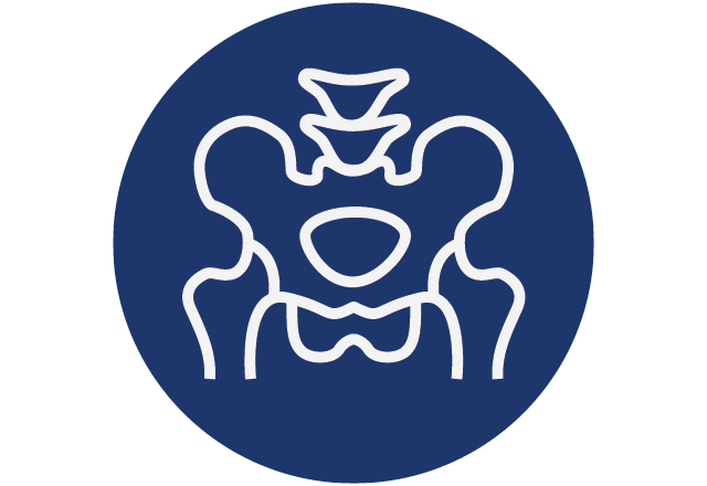 Icon of pelvic bone