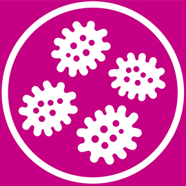 hpv icon