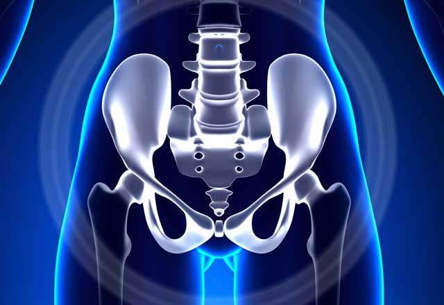 Illustration of pelvic bone xray