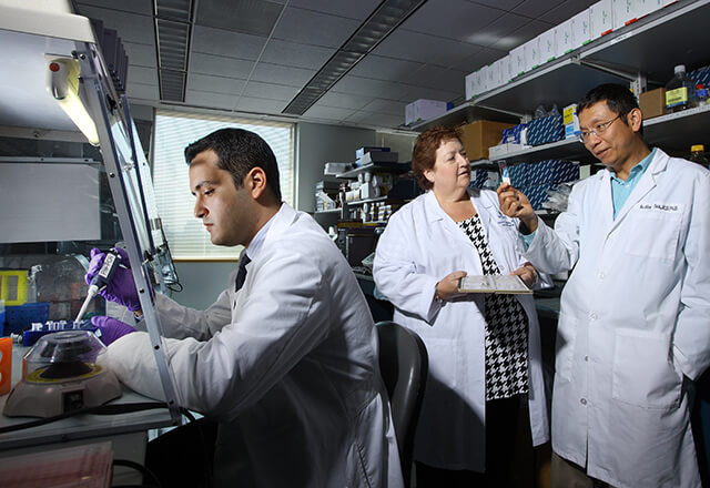 pathologists in lab