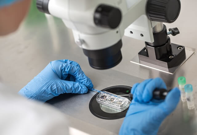 scientist conducting experiments in petri dish