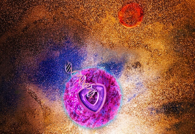 ovarian cancer cell