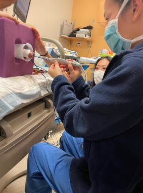 gynecology research