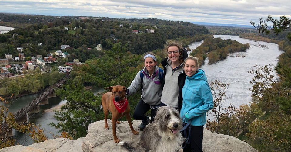 Residents with their dogs on a hike