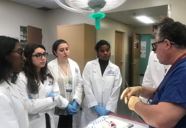 A photo from the Intersession Program in Cardiac Surgery.