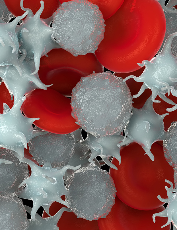 Red blood cells, platelets, and white blood cells