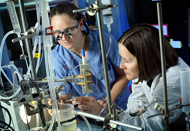 Our Research | Johns Hopkins Cardiac Surgery Research Lab
