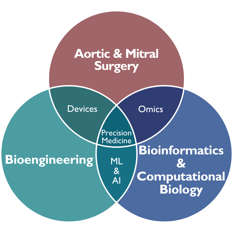 a three-circle venn diagram showing the overlap between aortic and mitral surgery, bioengineering, and bioinformatics and computational biology